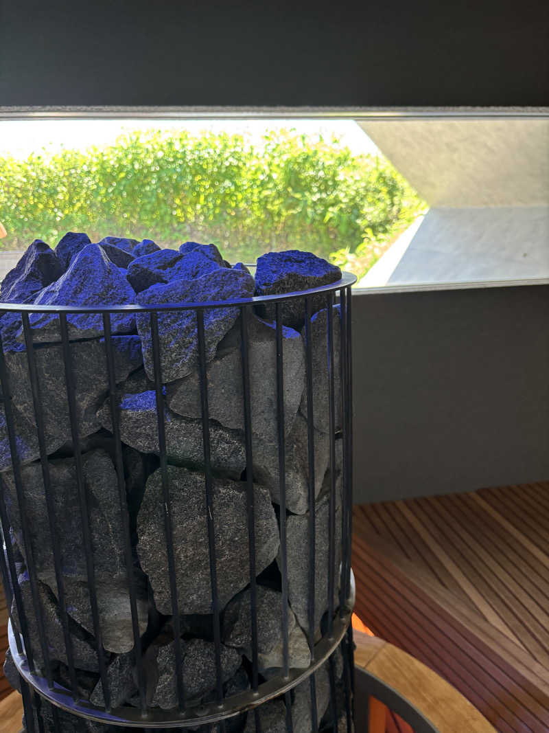 🇫🇮たいしんまん🇫🇮さんのThe Hive SAUNAのサ活写真