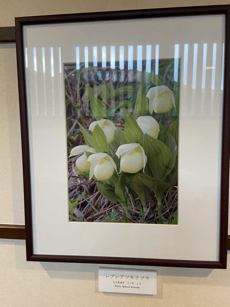 のののののさんの礼文島温泉 うすゆきの湯のサ活写真