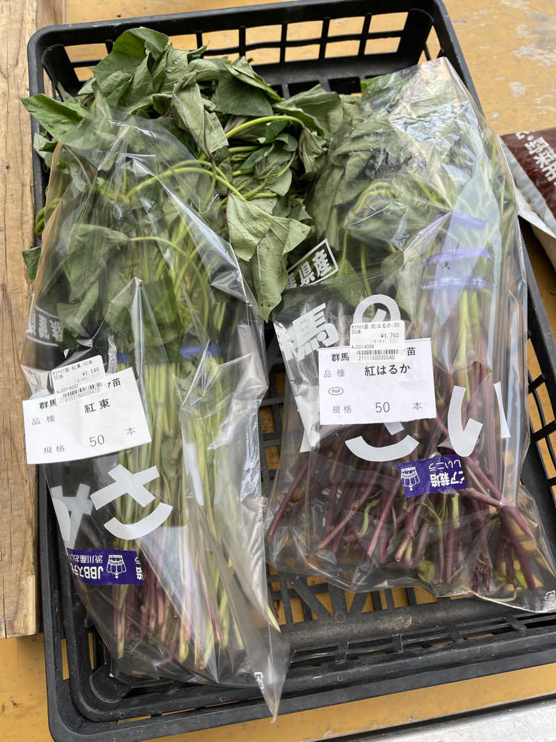 クリーパーパパさんの毎日サウナ 前橋本店のサ活写真