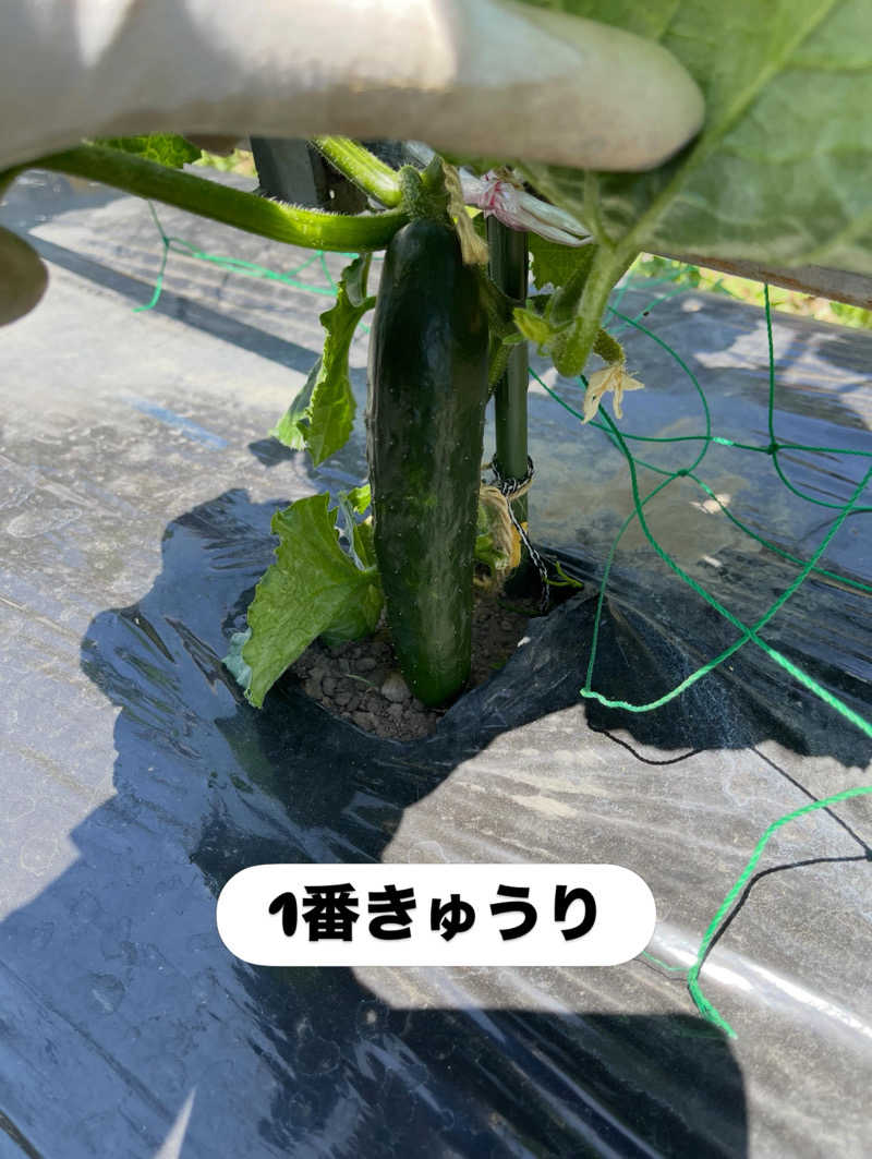 クリーパーパパさんの毎日サウナ 前橋本店のサ活写真