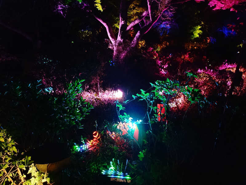 あたごさんの御船山楽園ホテル  らかんの湯のサ活写真