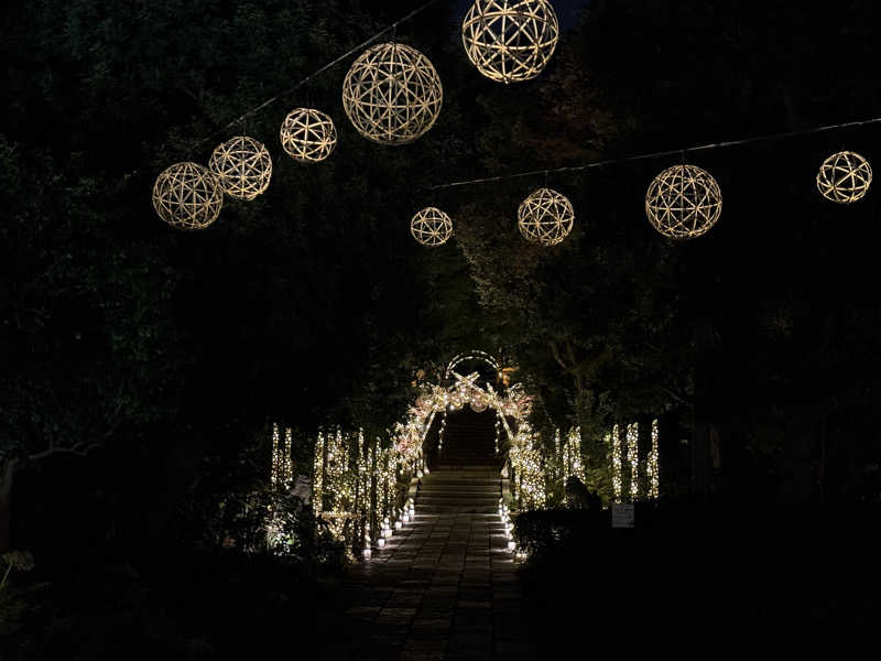 Sさんのよみうりランド眺望温泉 花景の湯のサ活写真