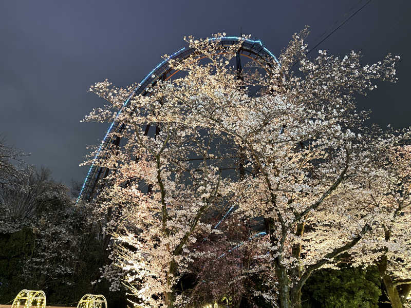 Sさんのよみうりランド眺望温泉 花景の湯のサ活写真