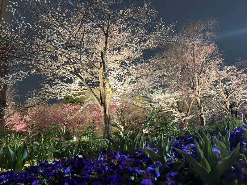 Sさんのよみうりランド眺望温泉 花景の湯のサ活写真