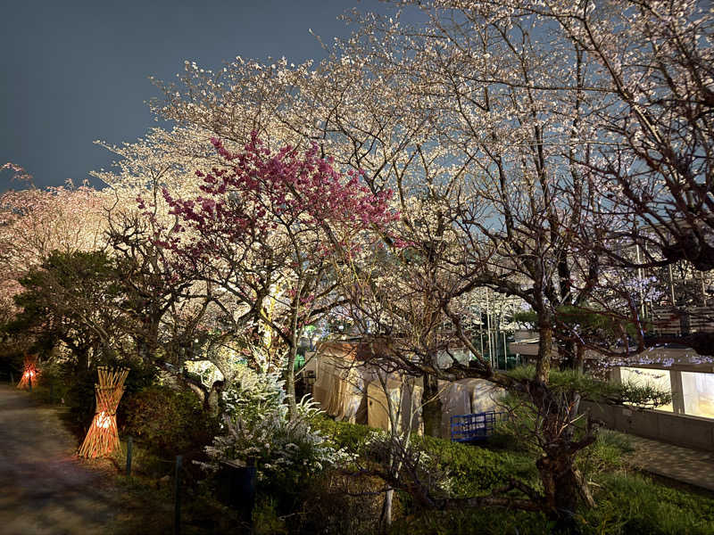 Sさんのよみうりランド眺望温泉 花景の湯のサ活写真