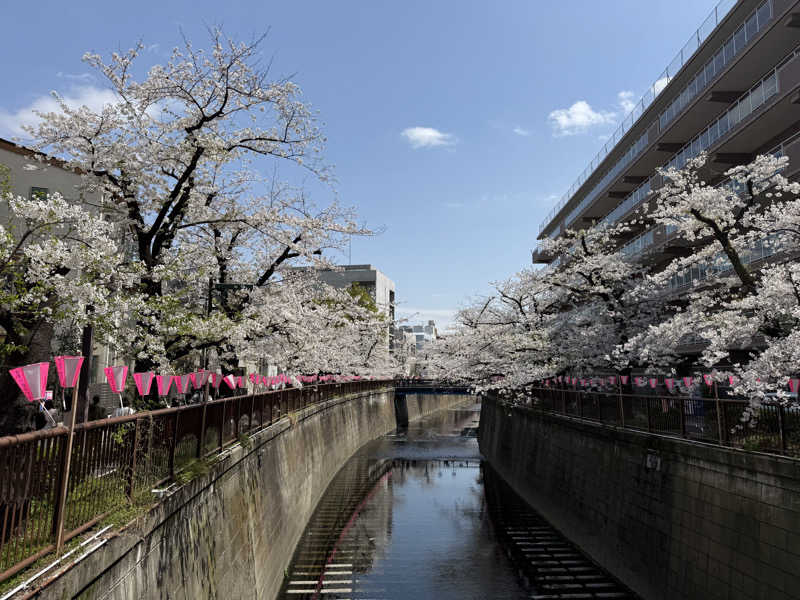 Sさんの文化浴泉のサ活写真