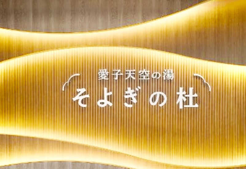 Sさんの愛子天空の湯 そよぎの杜のサ活写真