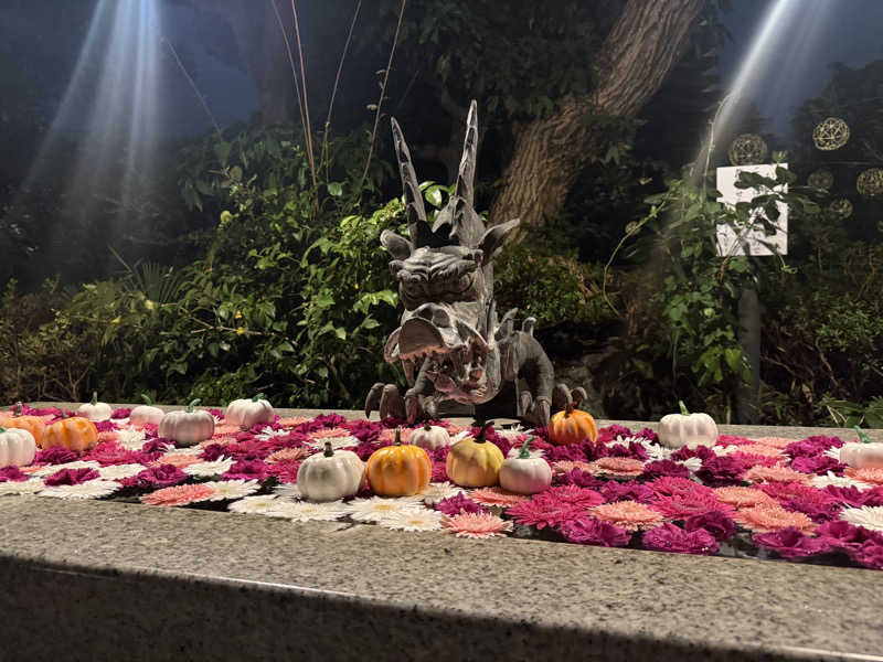 Sさんのよみうりランド眺望温泉 花景の湯のサ活写真