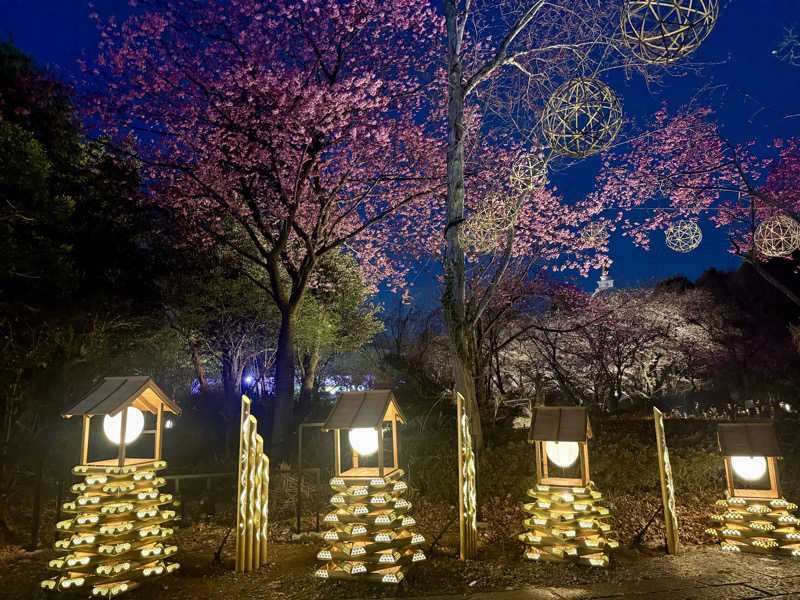 Sさんのよみうりランド眺望温泉 花景の湯のサ活写真