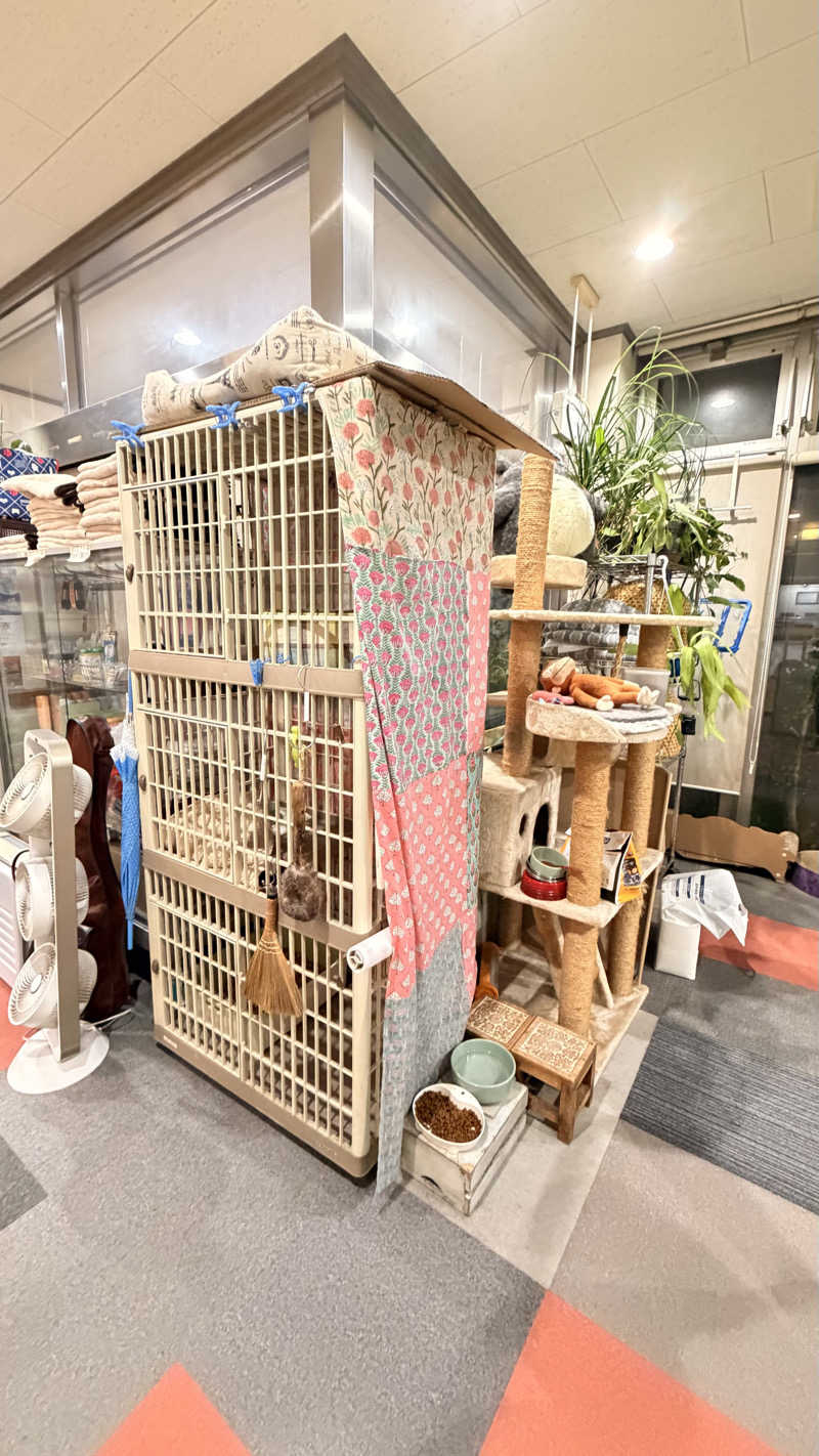 猫毛だらけみきさんのお宅さんの岩乃湯のサ活写真