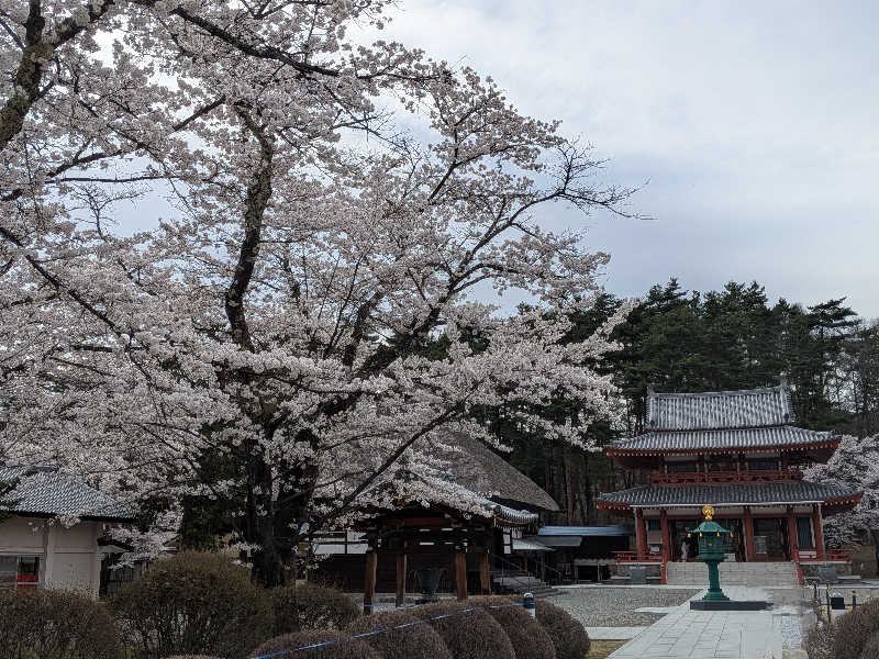 カロリン桶屋さんのホテル八峯苑 鹿の湯のサ活写真