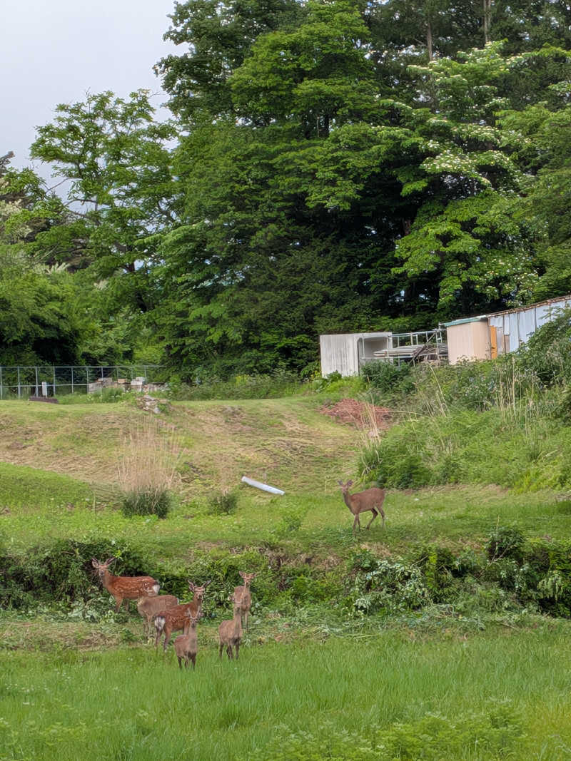 カロリン桶屋さんのリーガロイヤルホテル広島のサ活写真