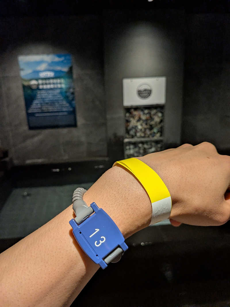 カロリン桶屋さんのスゴイサウナ五反田駅前店のサ活写真