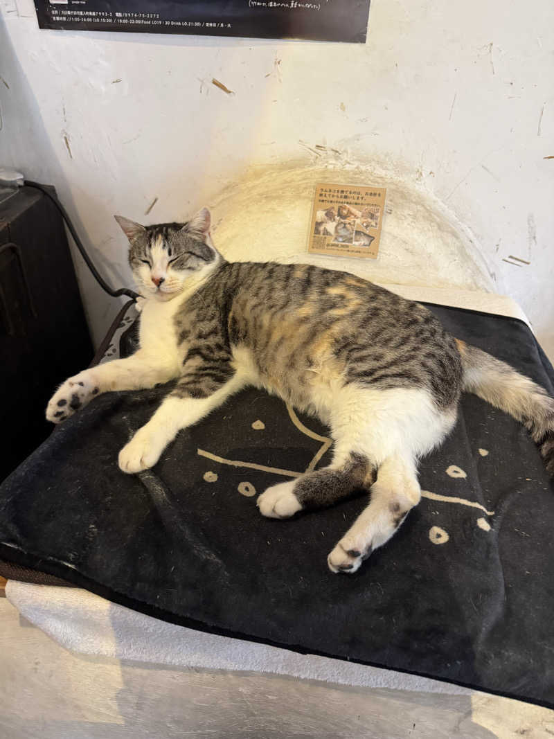 サカ須 ヴィヒ太さんのラムネ温泉館のサ活写真