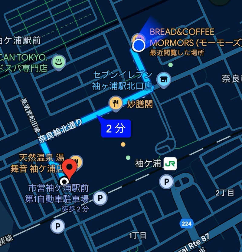 よしさんの天然温泉 湯舞音 袖ケ浦店のサ活写真