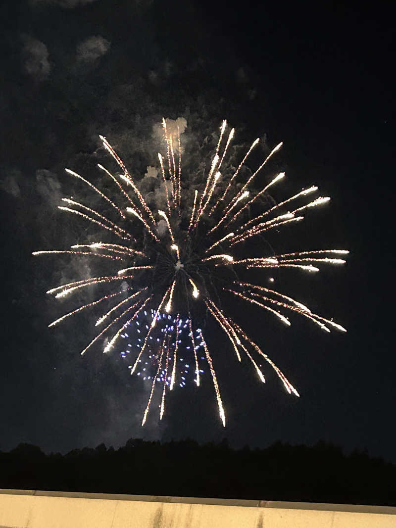 よしさんの山梨泊まれる温泉 より道の湯のサ活写真