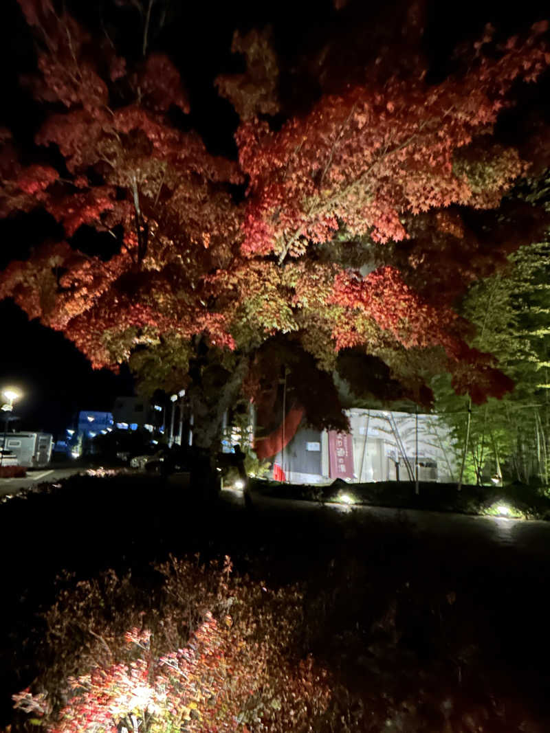 よしさんの山梨泊まれる温泉 より道の湯のサ活写真