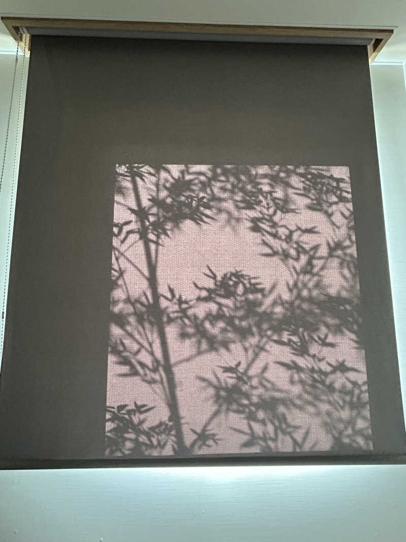 よしさんの山梨泊まれる温泉 より道の湯のサ活写真