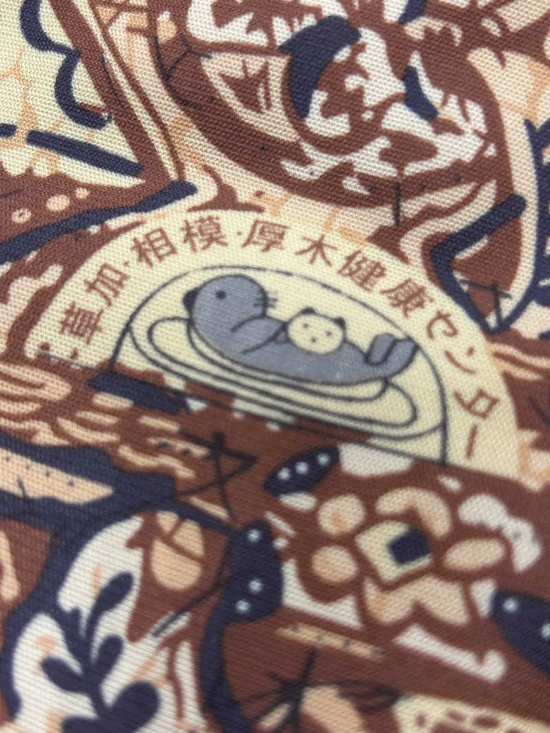 よしさんの湯乃泉 草加健康センターのサ活写真