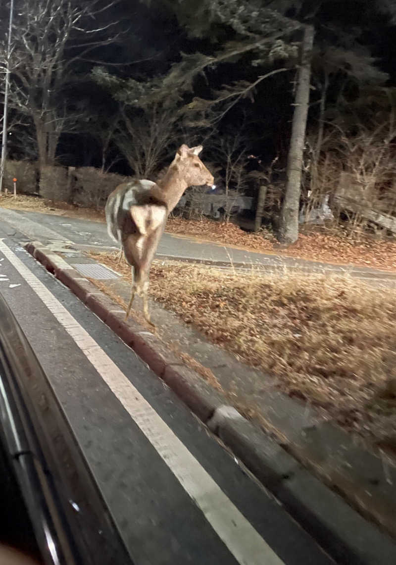 よしさんの河口湖 ホテル 桜庵のサ活写真
