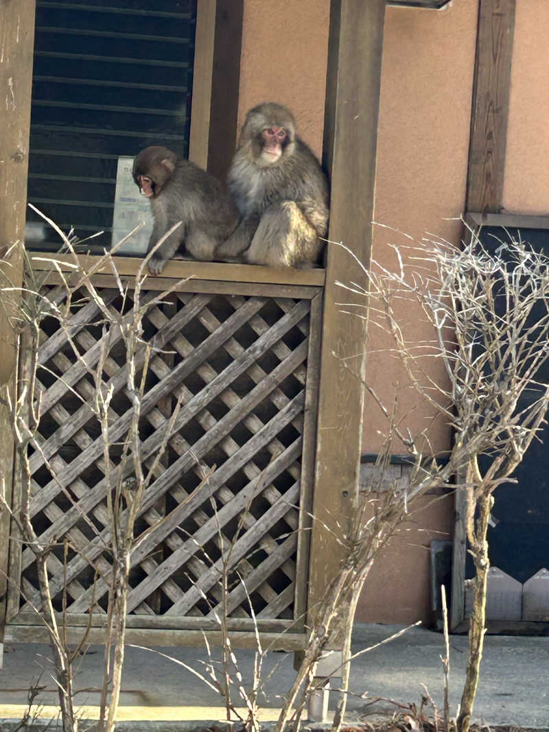 よしさんの早太郎温泉 露天こぶしの湯のサ活写真