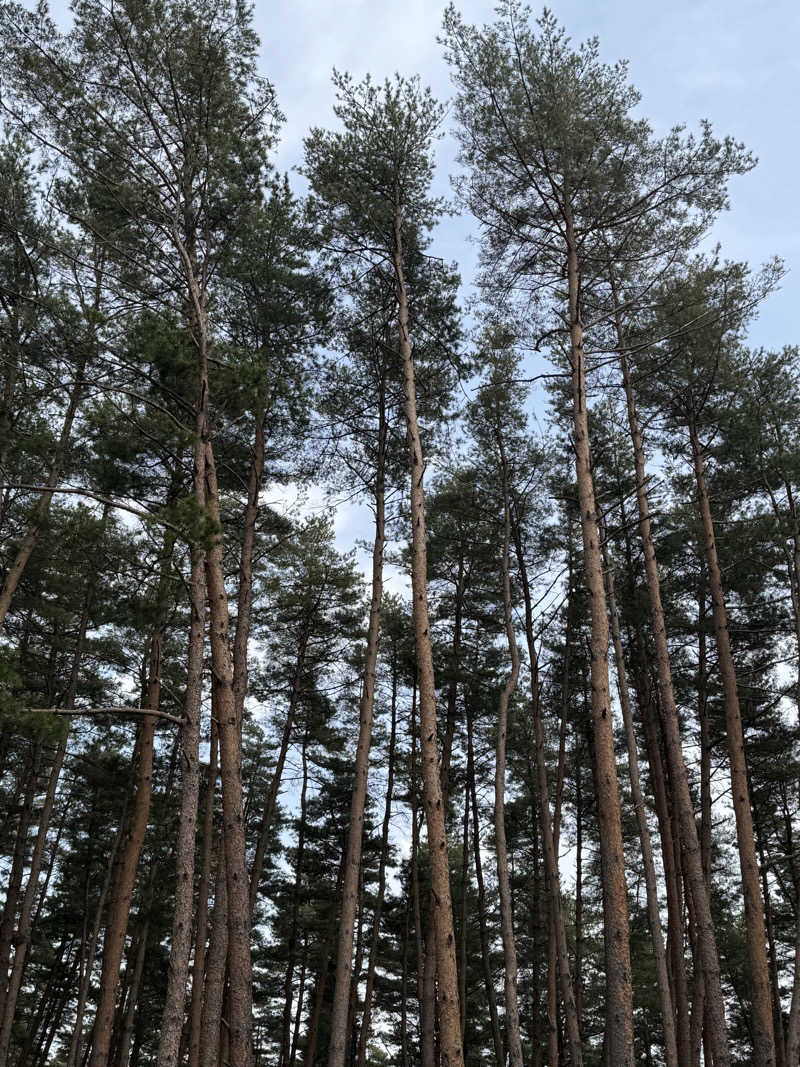 RyotaさんのFOLKWOOD SAUNAのサ活写真