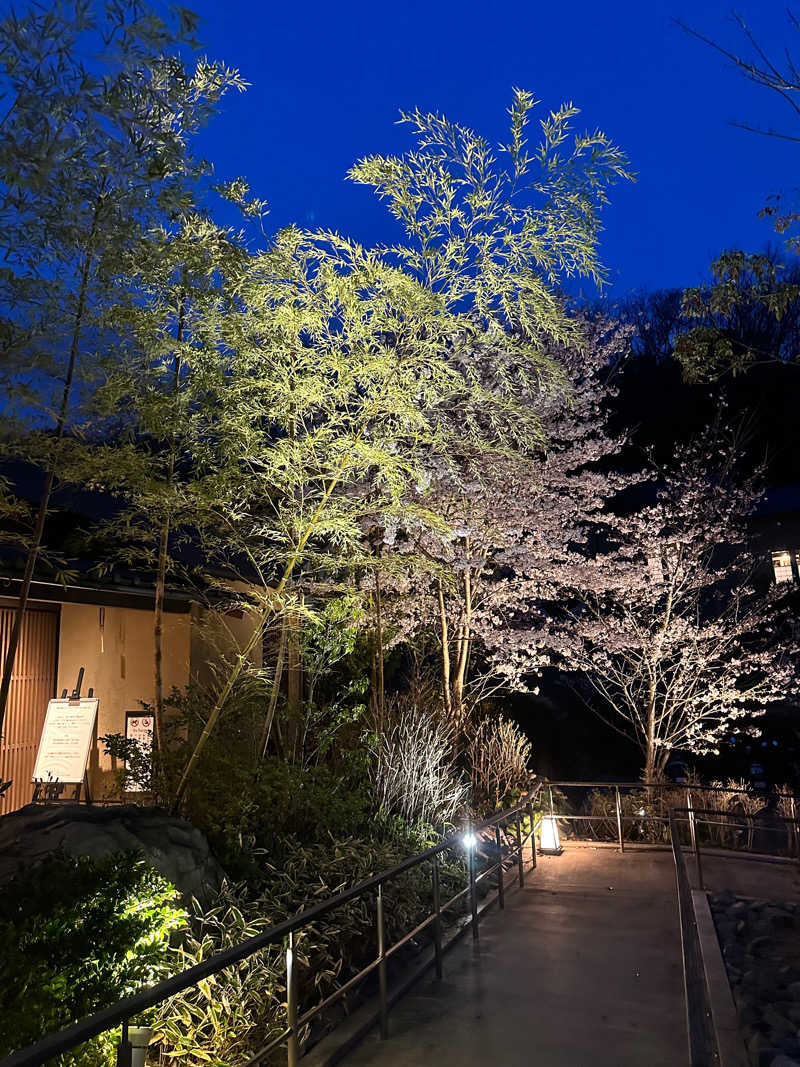 ぐりさんの野天スパ 十界の湯 ※旧:延羽の湯 野天 閑雅山荘のサ活写真