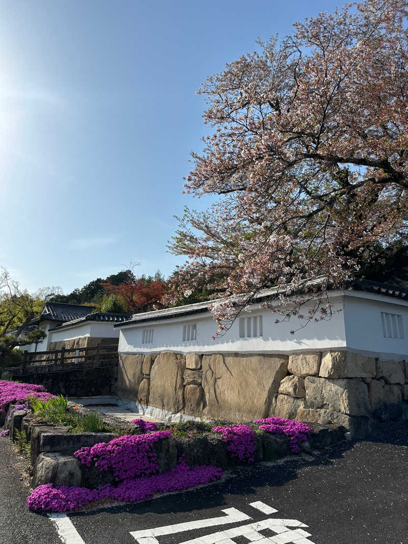 ぐりさんの福知山温泉 養老の湯のサ活写真