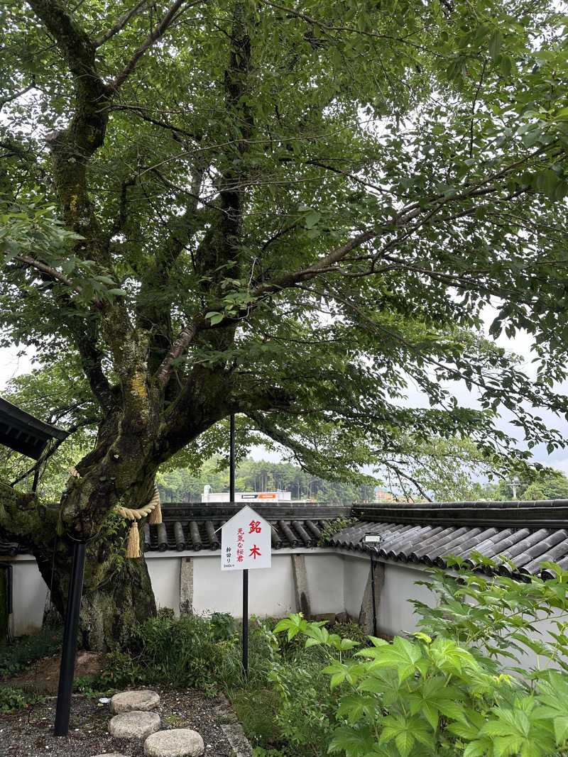 ぐりさんの福知山温泉 養老の湯のサ活写真