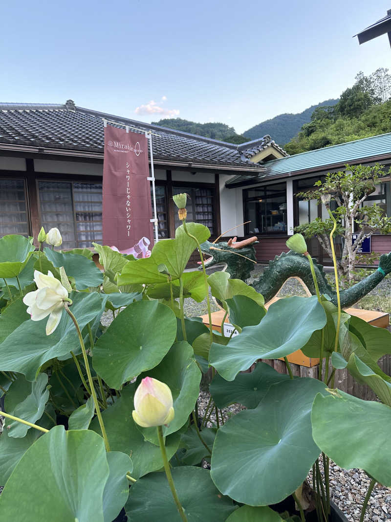 ぐりさんのよふど温泉のサ活写真