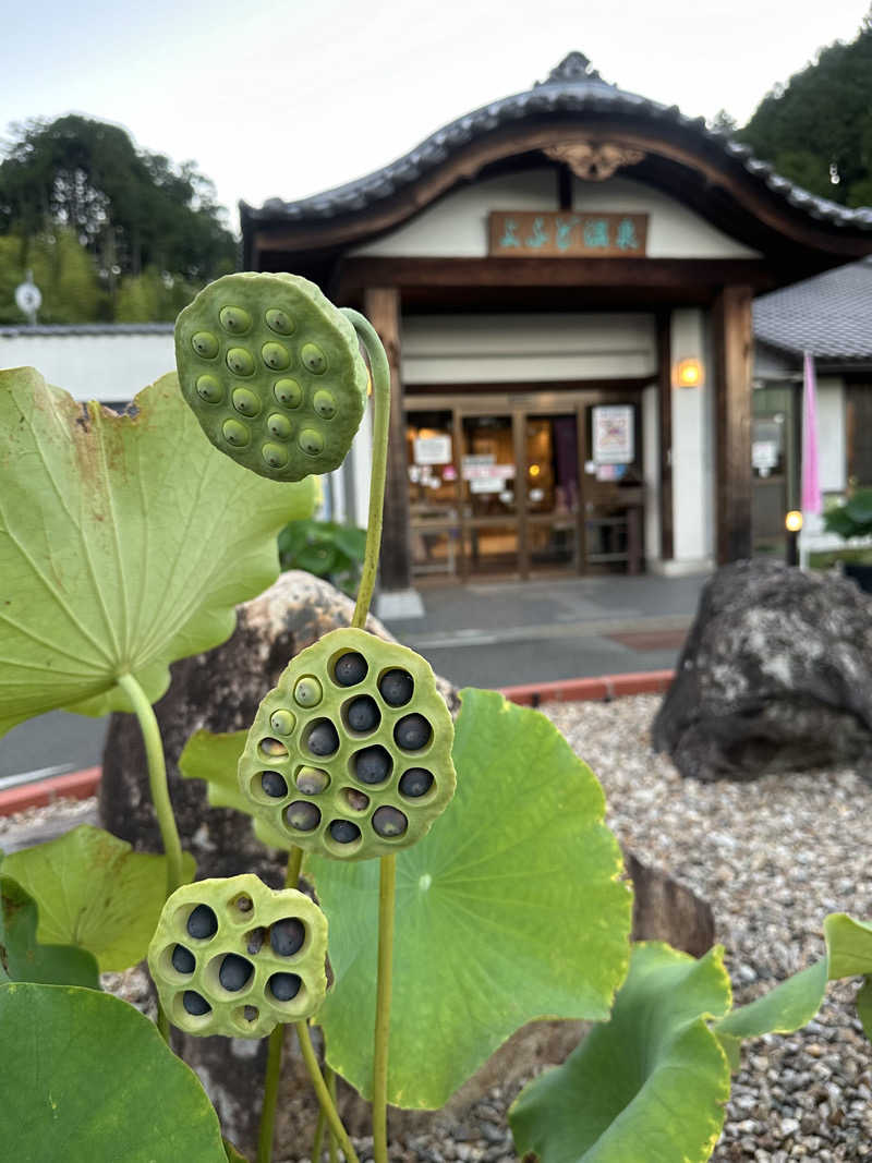 ぐりさんのよふど温泉のサ活写真