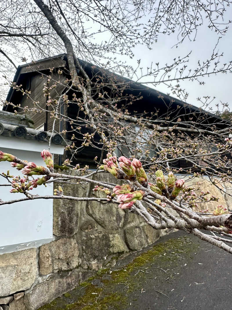 ぐりさんの福知山温泉 養老の湯のサ活写真