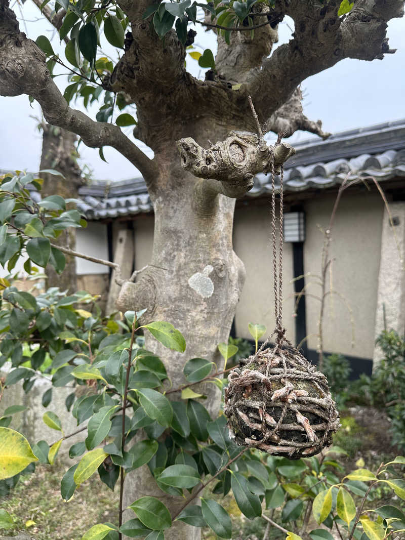 ぐりさんの福知山温泉 養老の湯のサ活写真