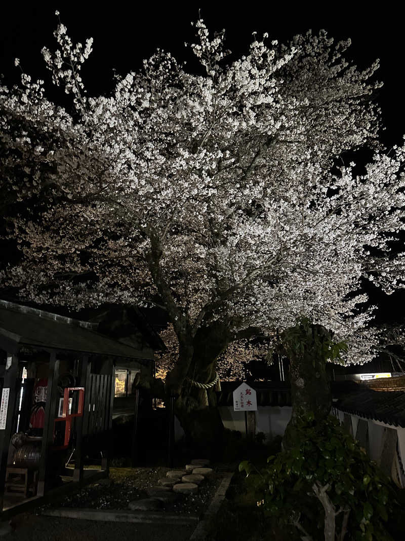 ぐりさんの福知山温泉 養老の湯のサ活写真