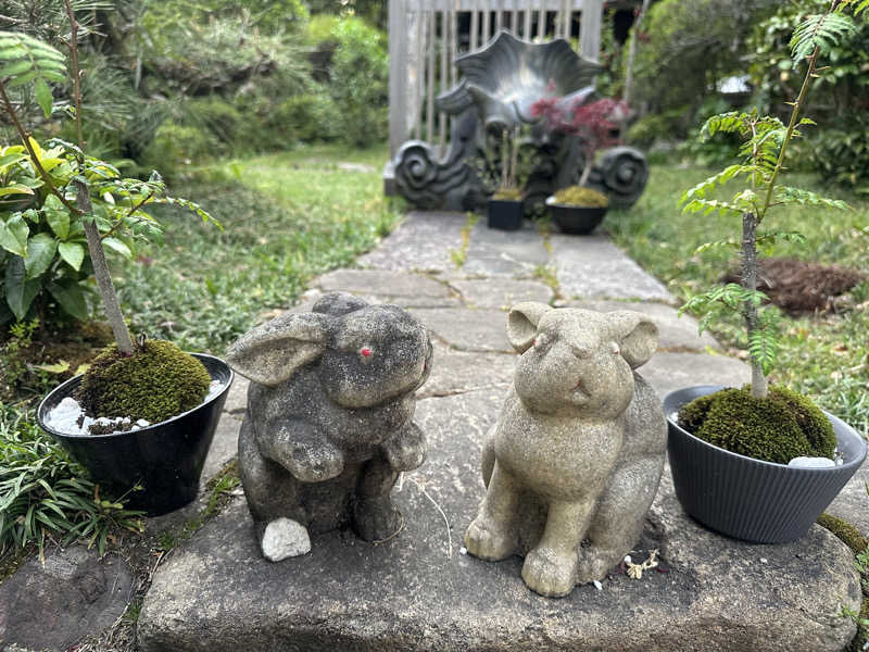 ぐりさんの福知山温泉 養老の湯のサ活写真