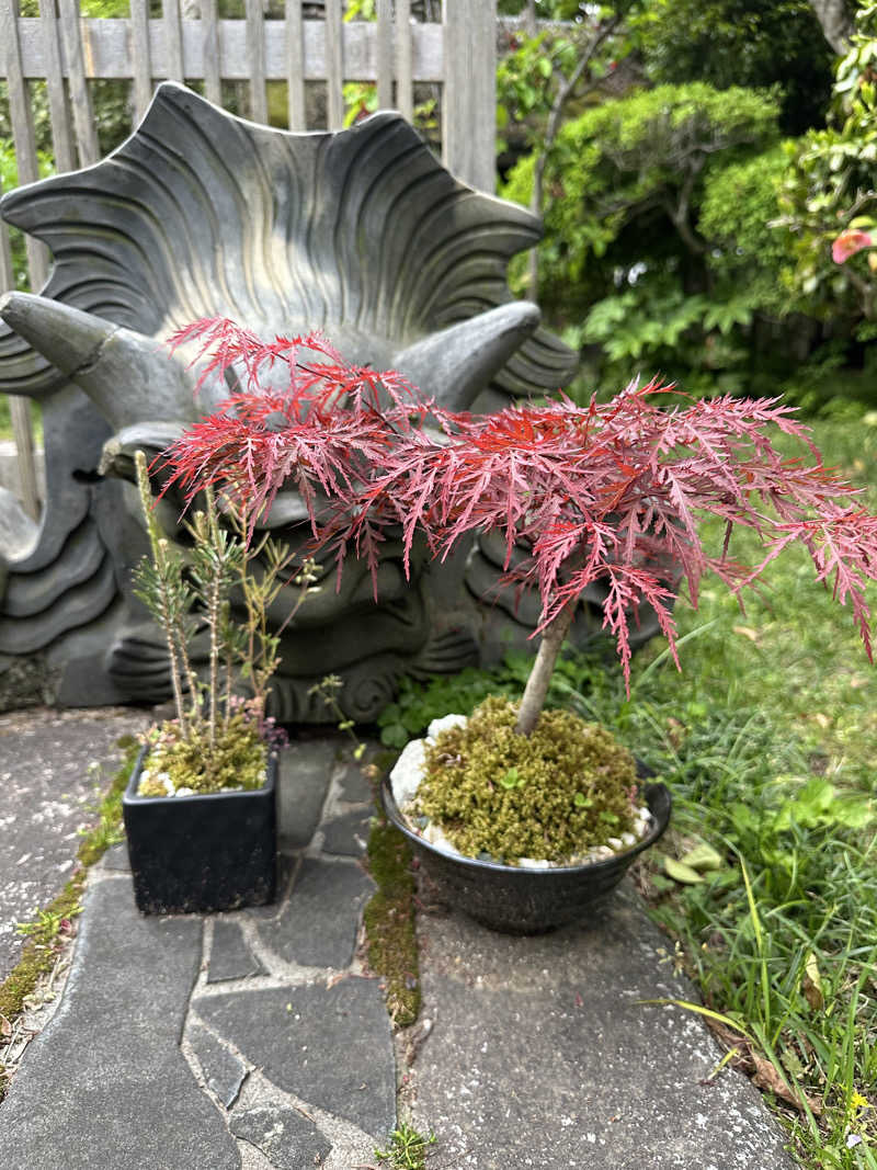 ぐりさんの福知山温泉 養老の湯のサ活写真