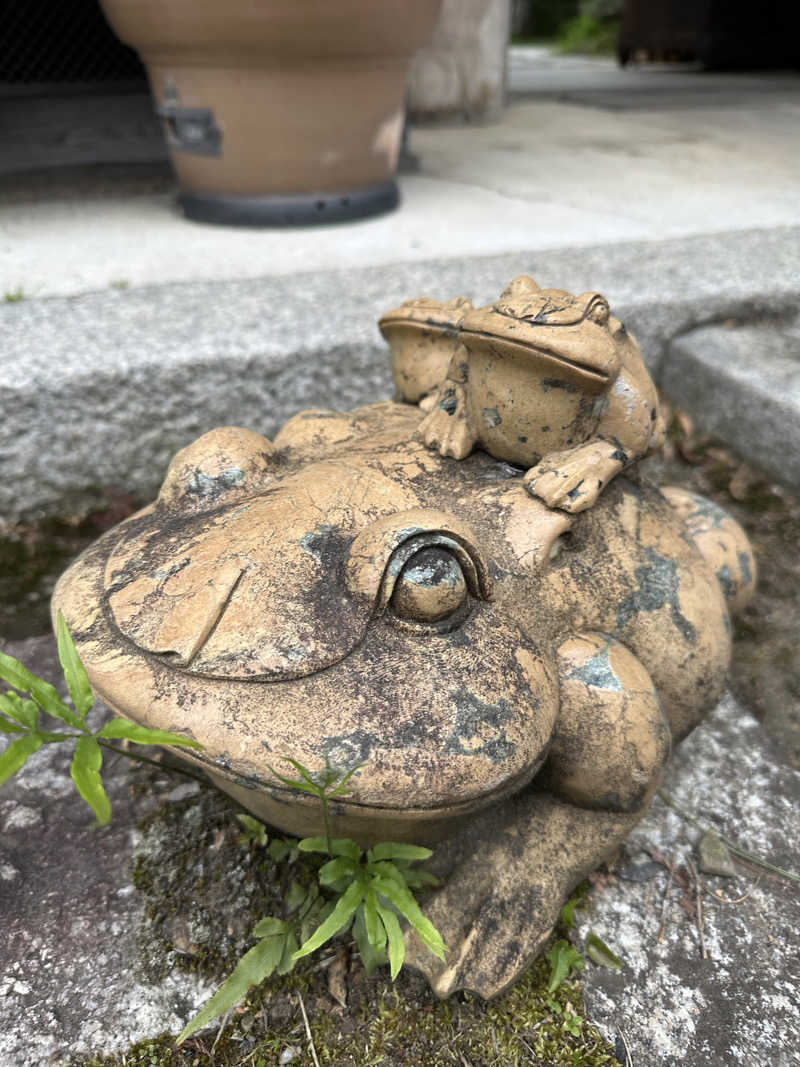 ぐりさんの福知山温泉 養老の湯のサ活写真