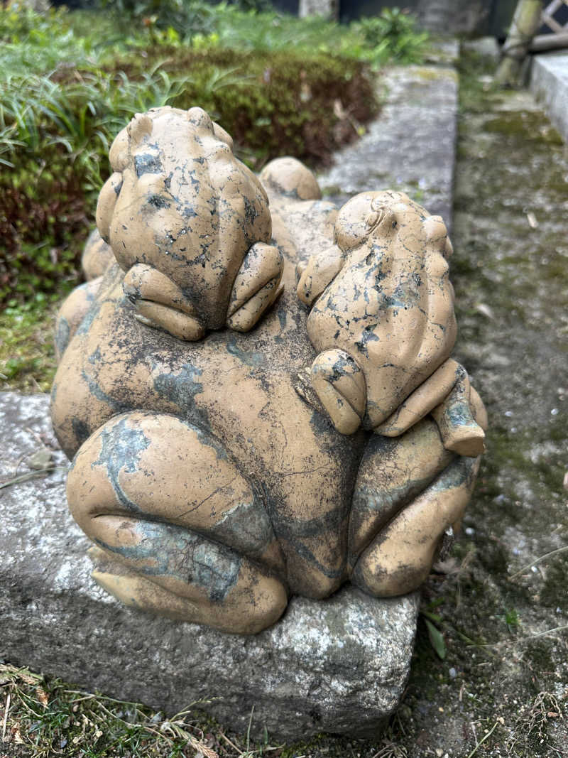 ぐりさんの福知山温泉 養老の湯のサ活写真