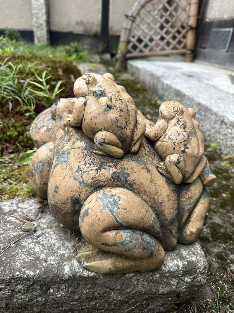 ぐりさんの福知山温泉 養老の湯のサ活写真