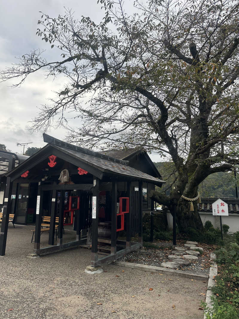 ぐりさんの福知山温泉 養老の湯のサ活写真