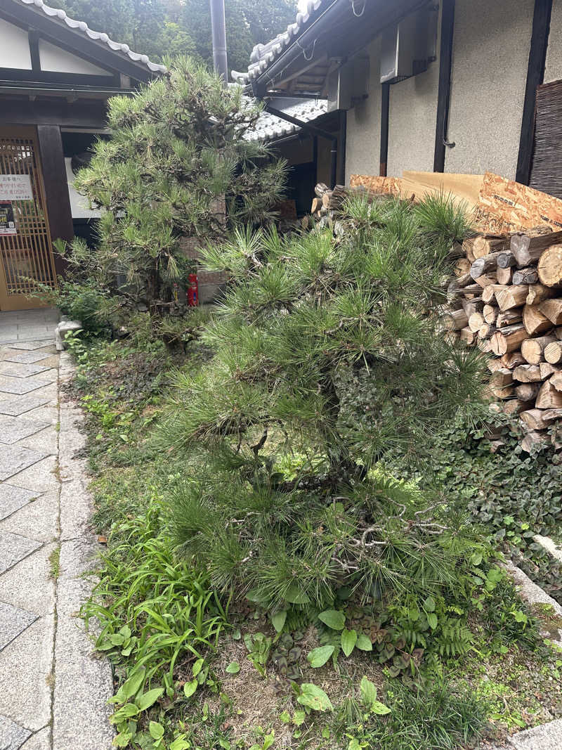 ぐりさんの福知山温泉 養老の湯のサ活写真