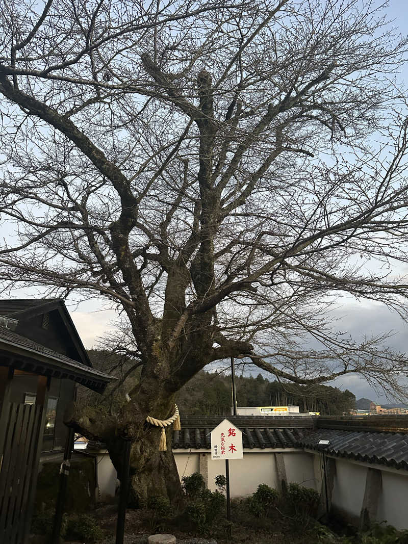 ぐりさんの福知山温泉 養老の湯のサ活写真