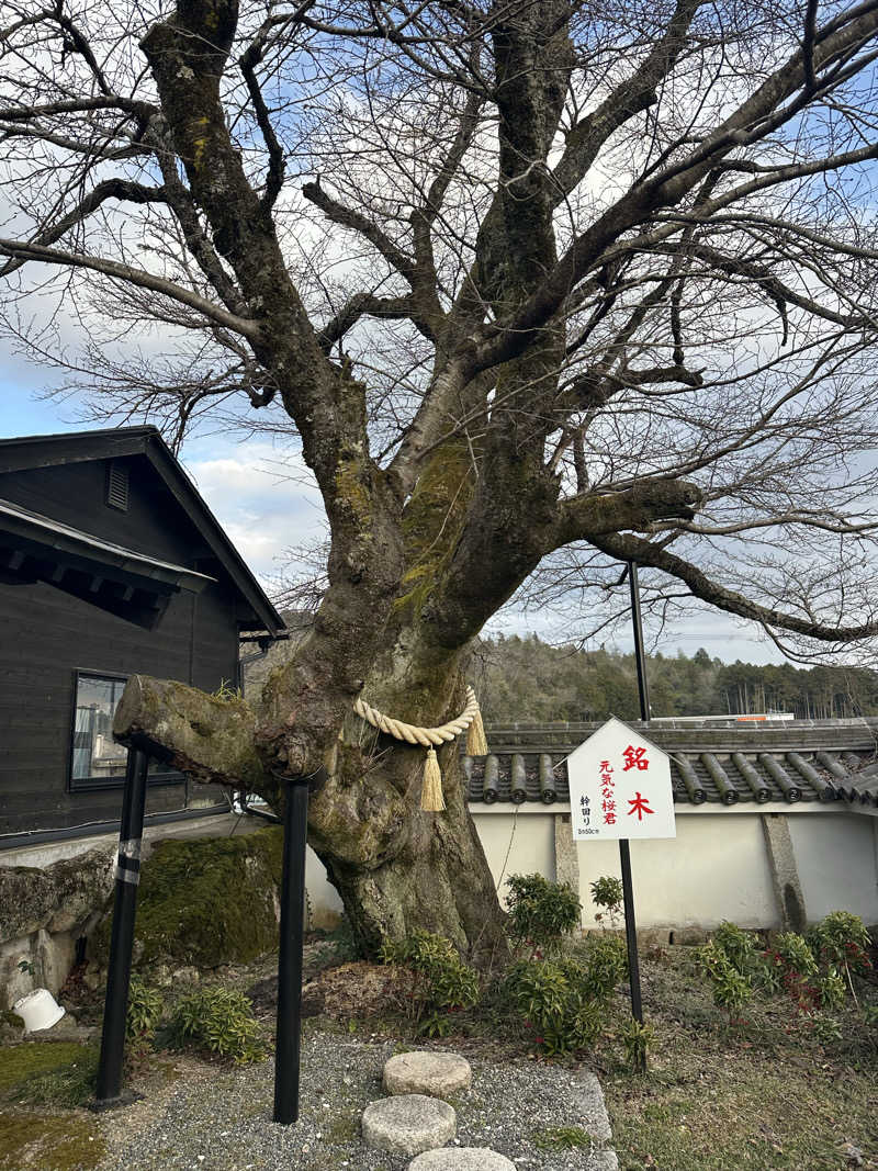 ぐりさんの福知山温泉 養老の湯のサ活写真