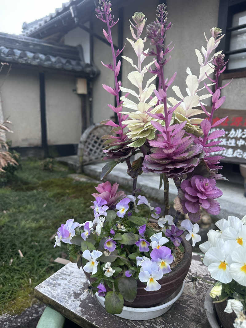 ぐりさんの福知山温泉 養老の湯のサ活写真