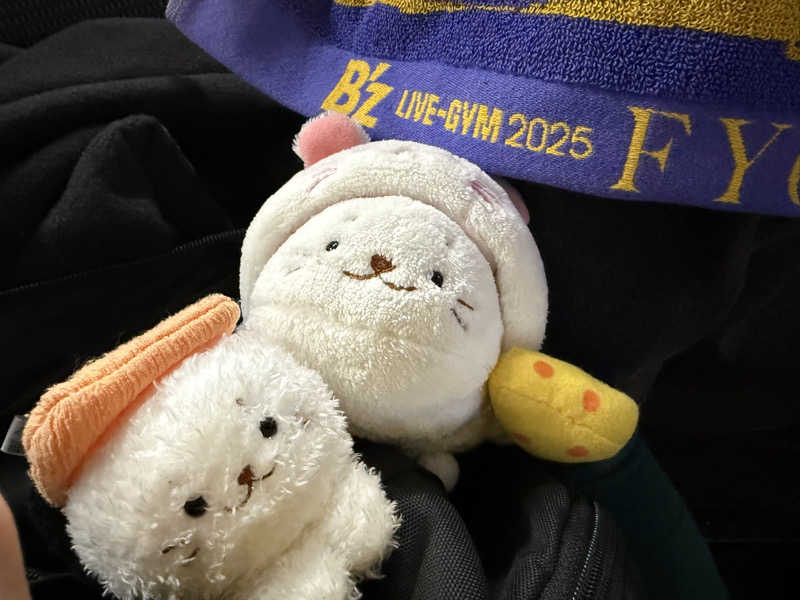 るさんの亀遊舘のサ活写真