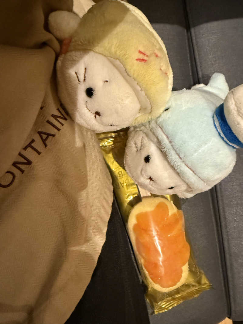 るさんの天然温泉 泉天空の湯 羽田空港のサ活写真