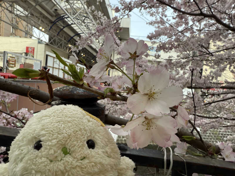 るさんのみうら湯 弘明寺店のサ活写真