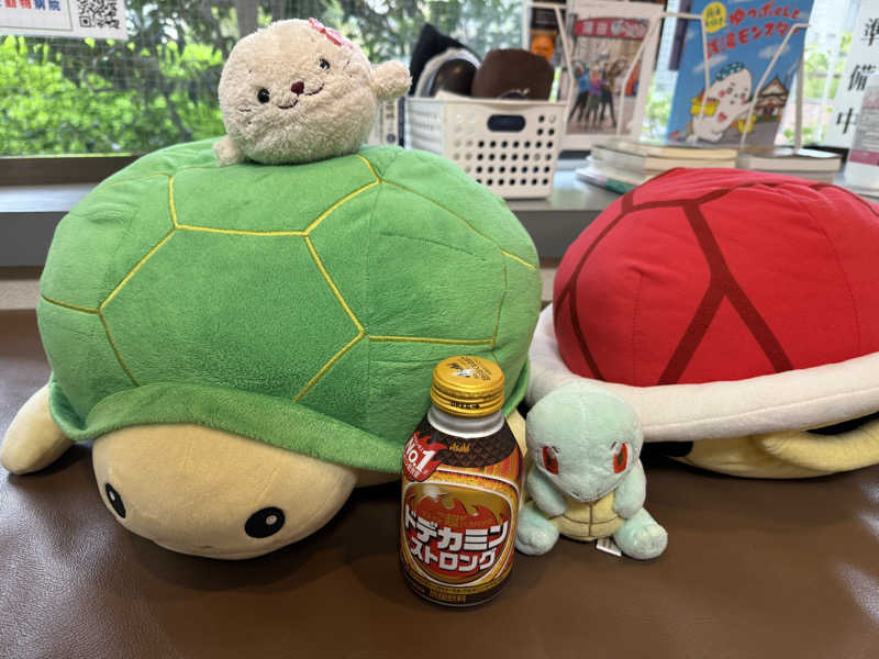 るさんの亀遊舘のサ活写真