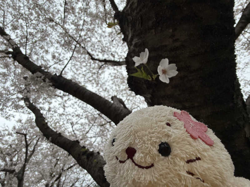 るさんの亀遊舘のサ活写真