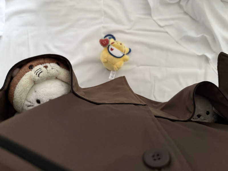 るさんのグランドメルキュール奈良橿原のサ活写真